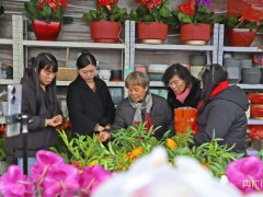 太原90后夫妻 如何让养花变得更加轻松便捷